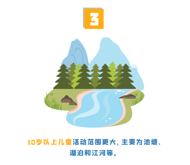 12134610 (3).gif